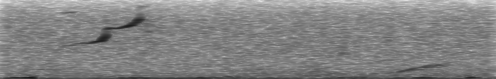 [Loading Spectrogram]