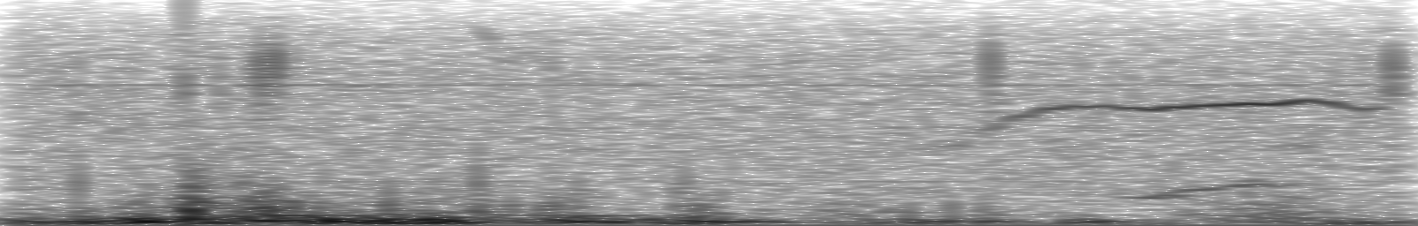 [Loading Spectrogram]