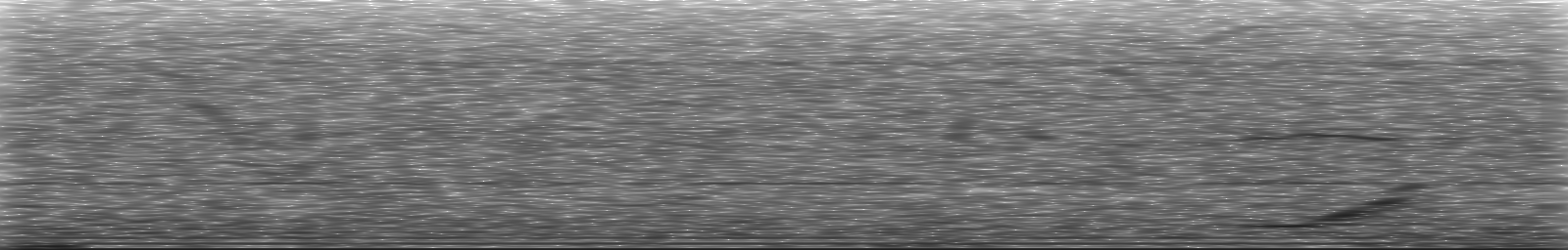 [Loading Spectrogram]