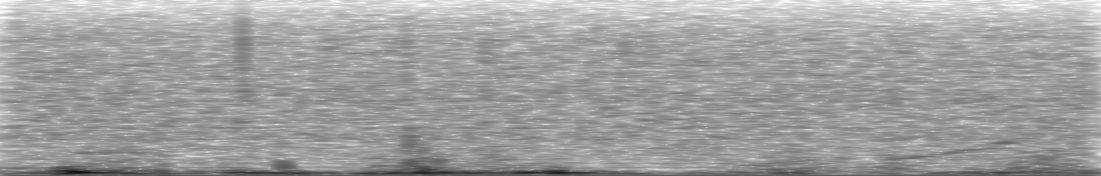 [Loading Spectrogram]