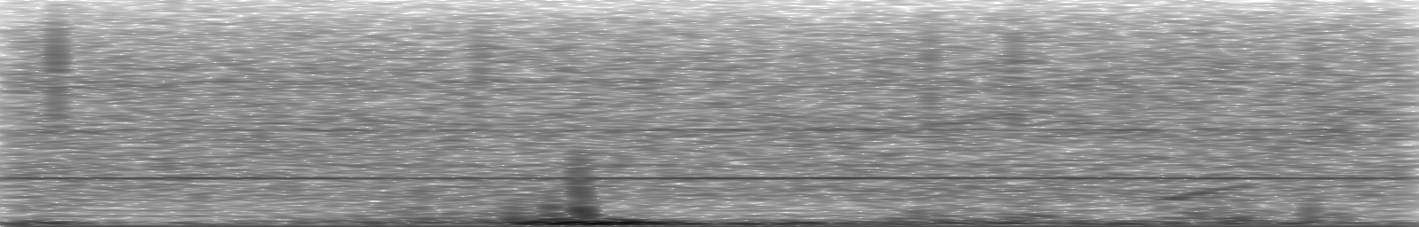 [Loading Spectrogram]