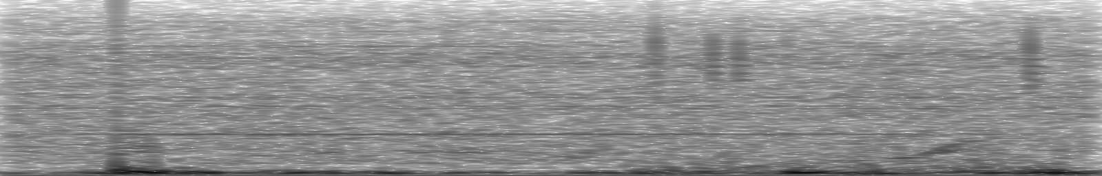 [Loading Spectrogram]