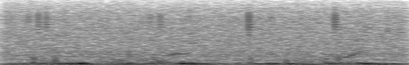 [Loading Spectrogram]