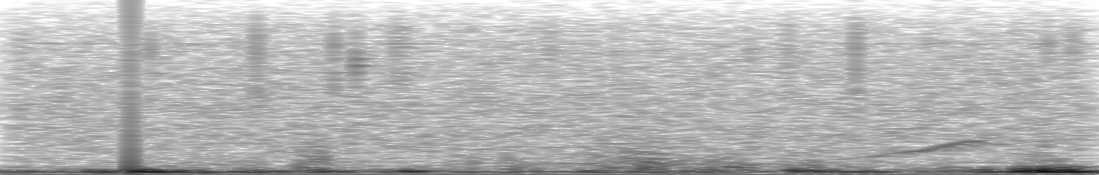 [Loading Spectrogram]