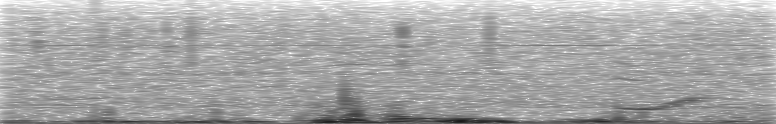 [Loading Spectrogram]