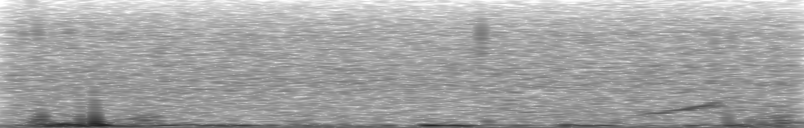 [Loading Spectrogram]