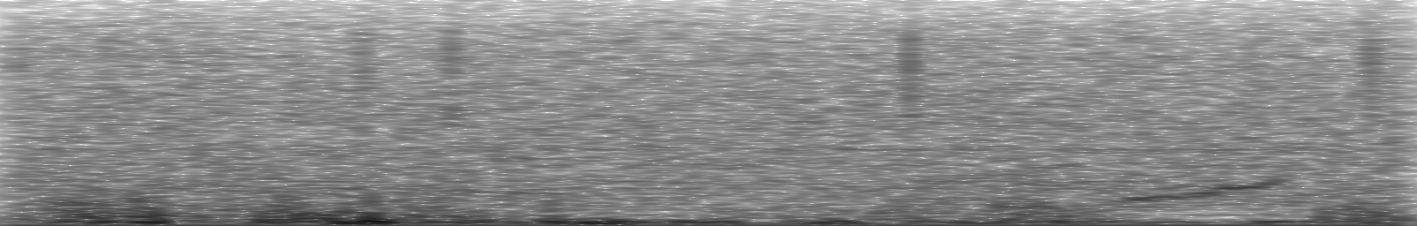 [Loading Spectrogram]