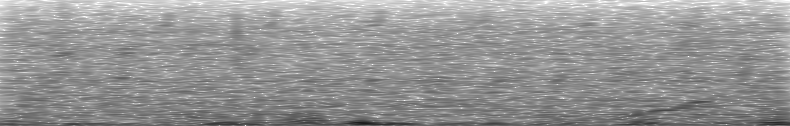 [Loading Spectrogram]