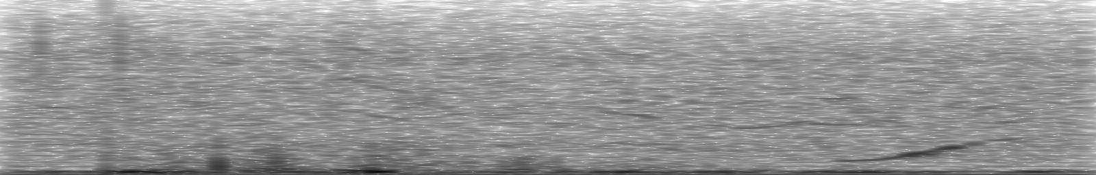 [Loading Spectrogram]