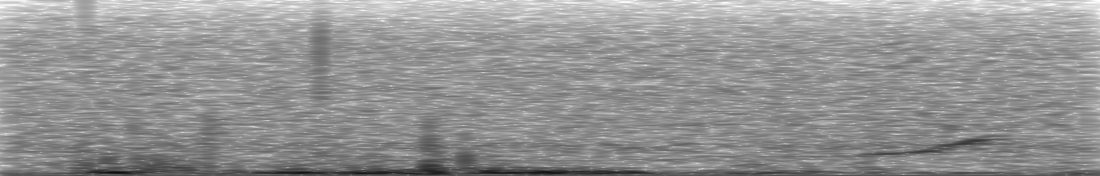 [Loading Spectrogram]