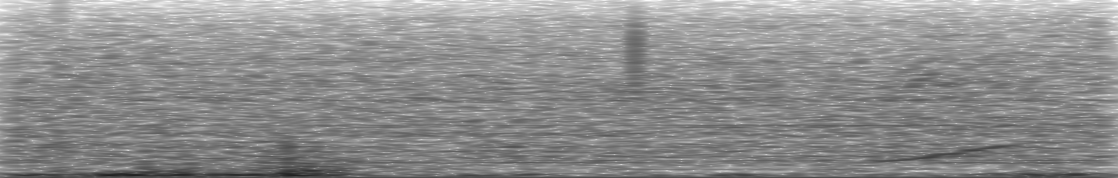 [Loading Spectrogram]