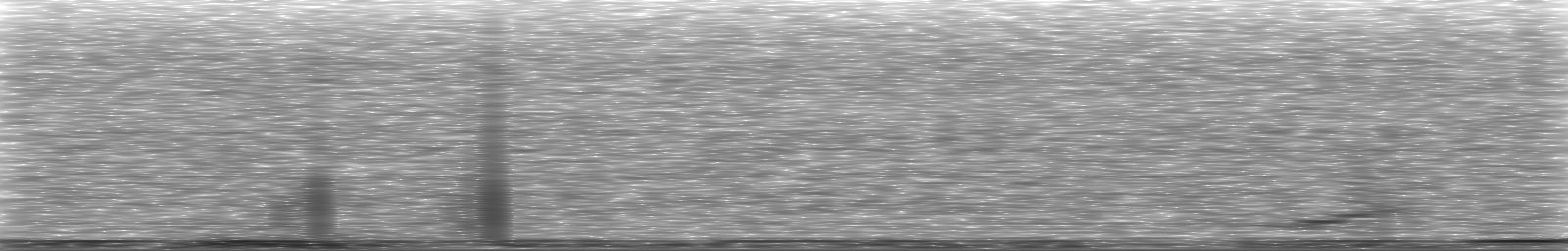 [Loading Spectrogram]