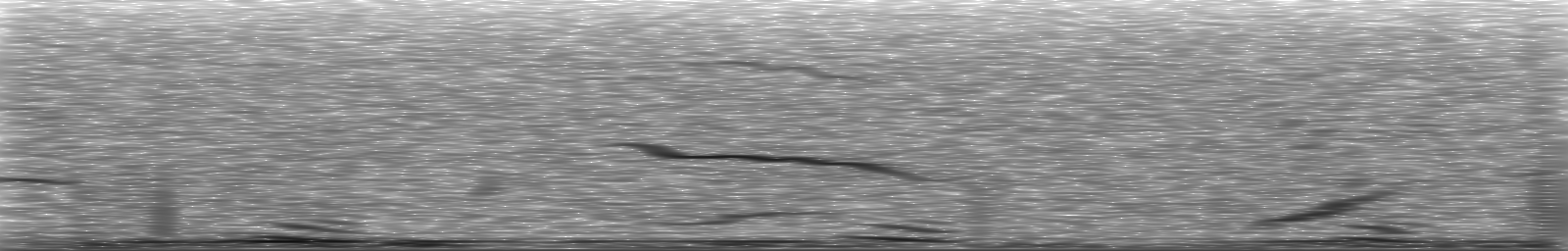 [Loading Spectrogram]