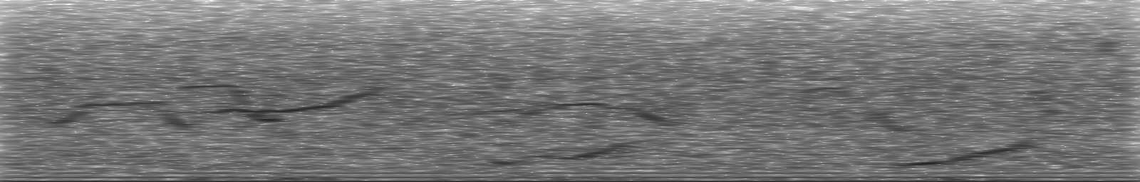 [Loading Spectrogram]