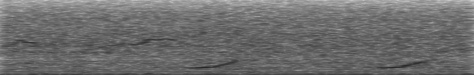 [Loading Spectrogram]