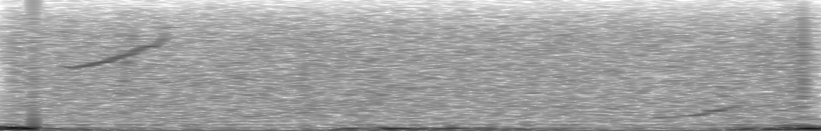 [Loading Spectrogram]