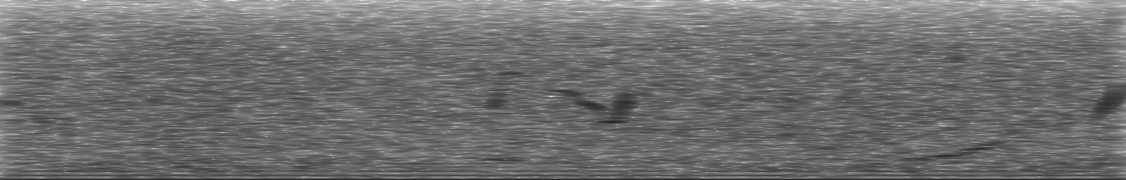 [Loading Spectrogram]