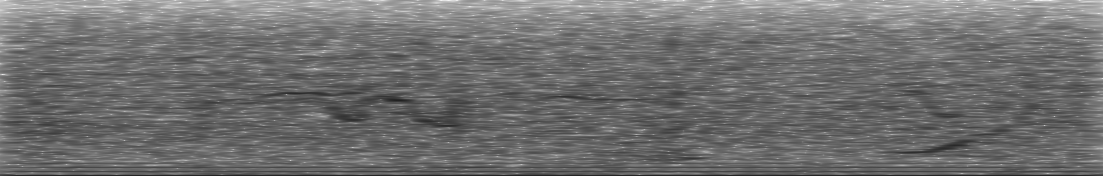 [Loading Spectrogram]