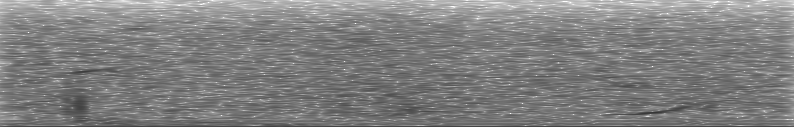 [Loading Spectrogram]