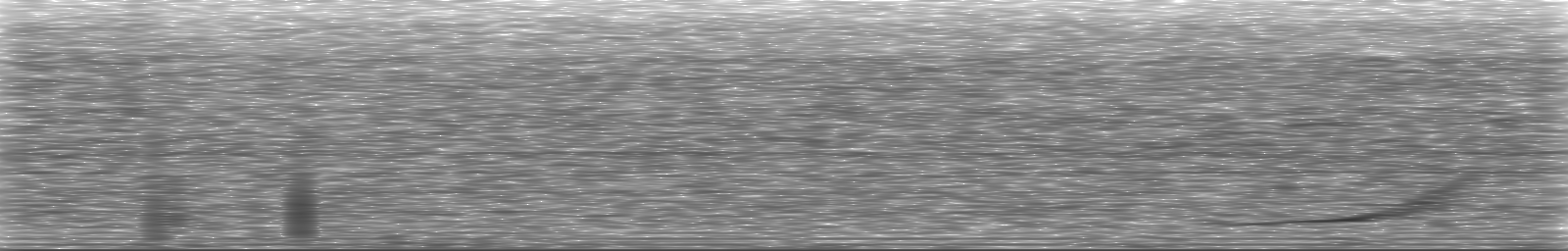 [Loading Spectrogram]