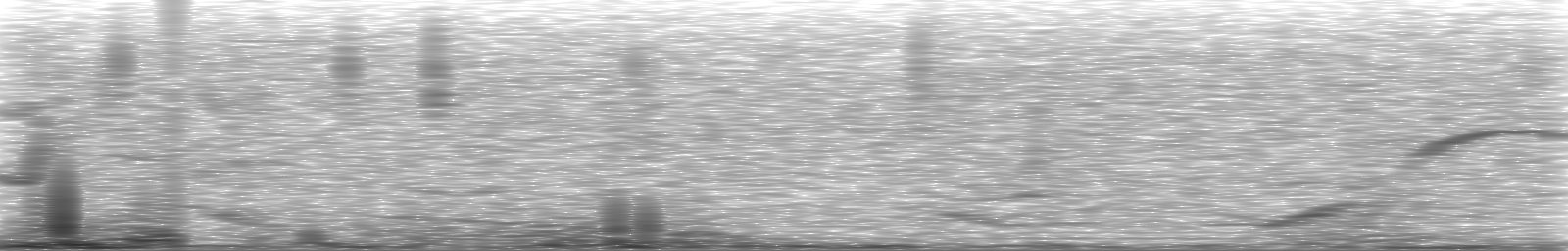 [Loading Spectrogram]