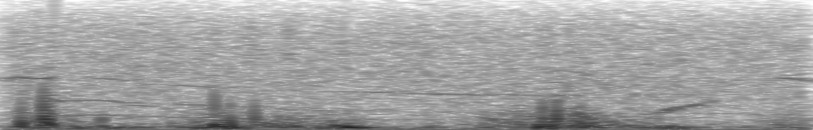 [Loading Spectrogram]