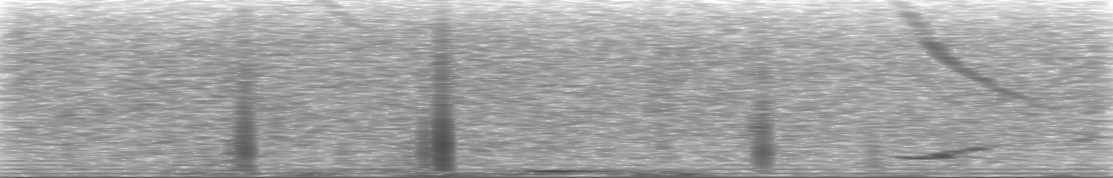 [Loading Spectrogram]