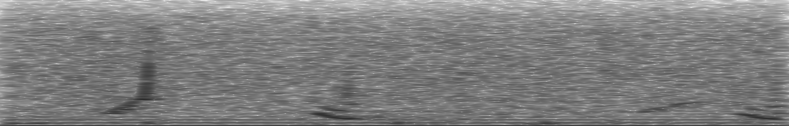 [Loading Spectrogram]