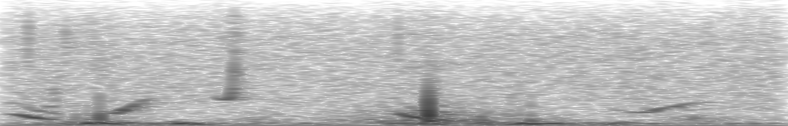 [Loading Spectrogram]