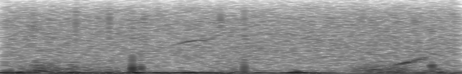 [Loading Spectrogram]