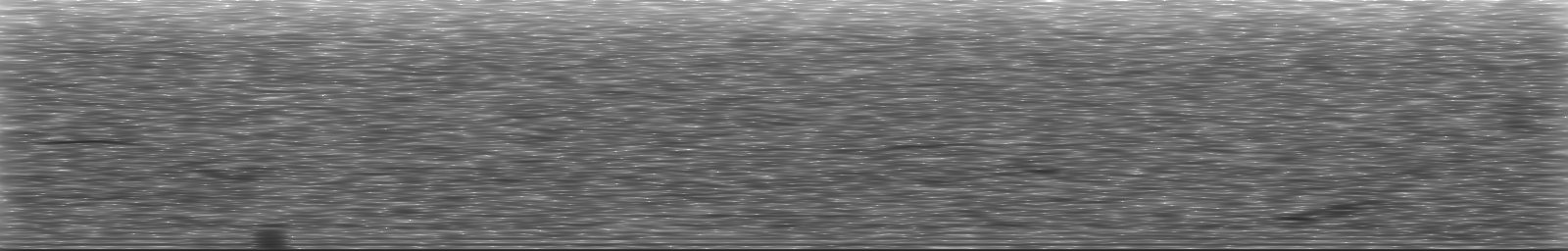 [Loading Spectrogram]