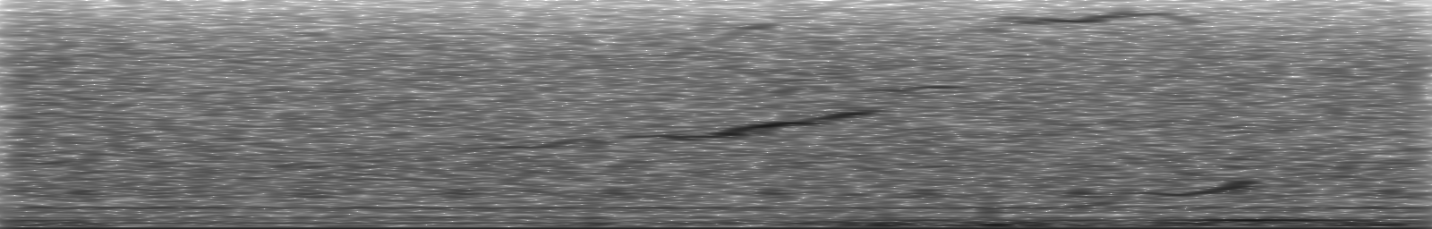 [Loading Spectrogram]