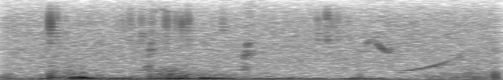 [Loading Spectrogram]