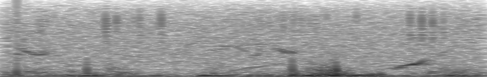 [Loading Spectrogram]