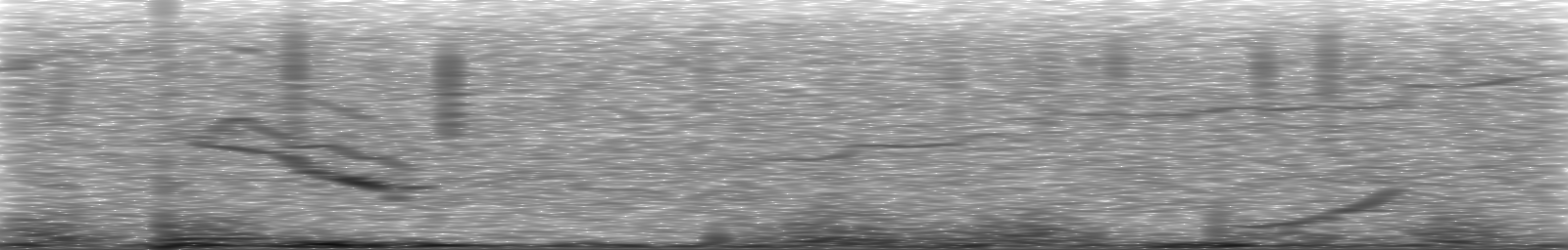 [Loading Spectrogram]