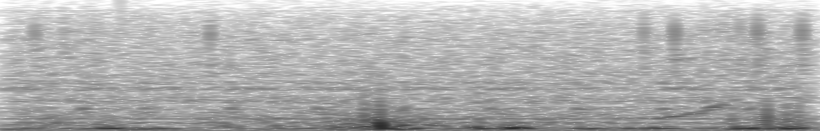 [Loading Spectrogram]