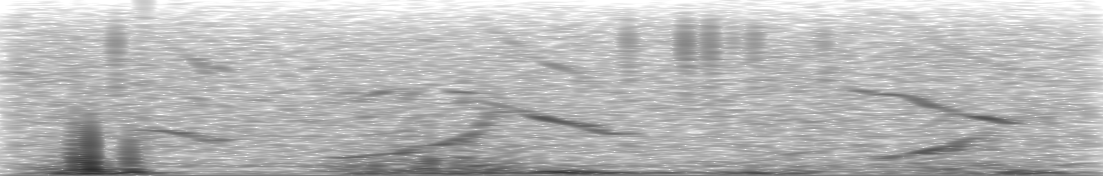 [Loading Spectrogram]