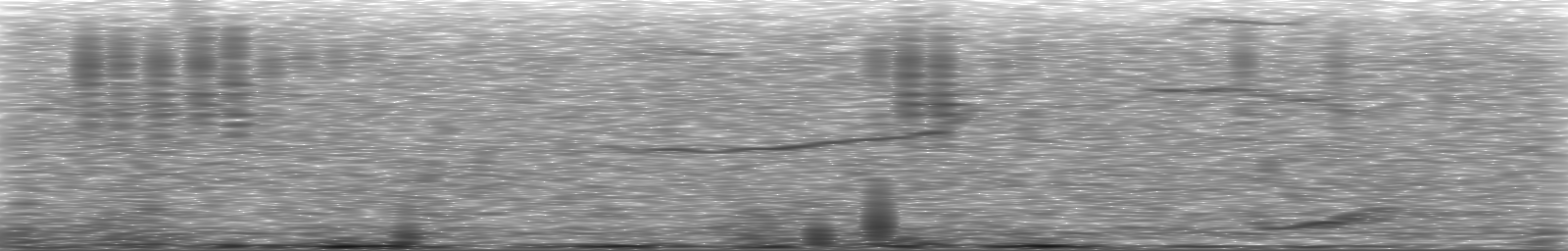 [Loading Spectrogram]