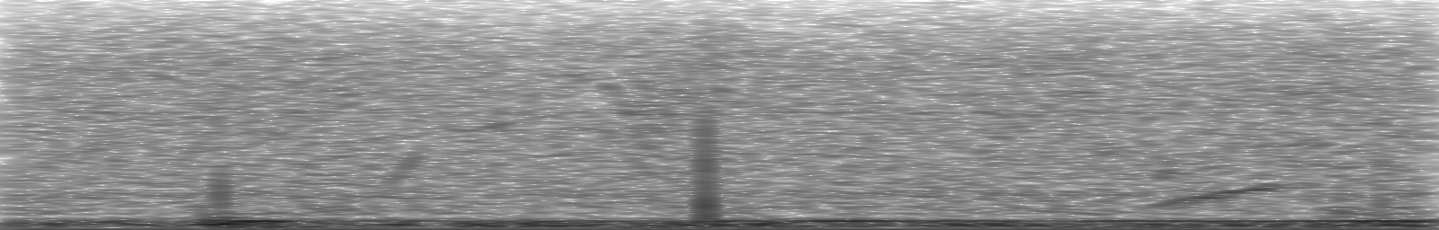 [Loading Spectrogram]