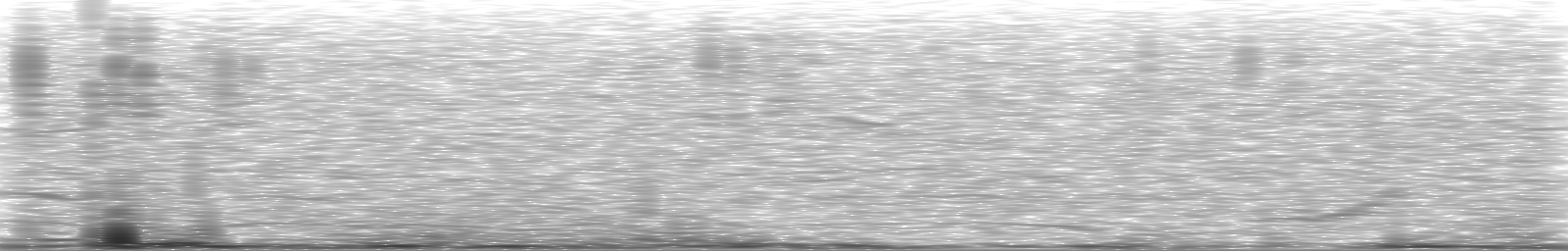 [Loading Spectrogram]