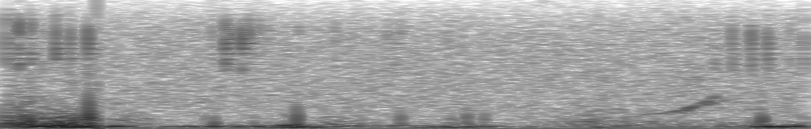 [Loading Spectrogram]