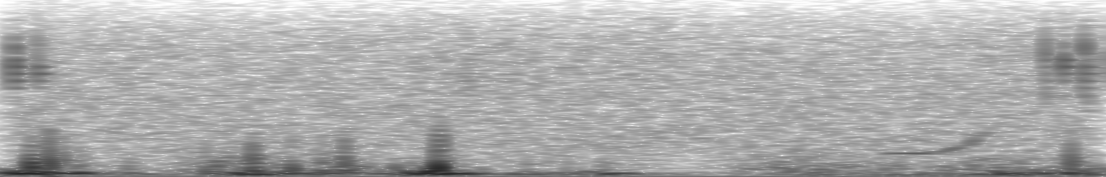 [Loading Spectrogram]