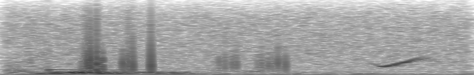 [Loading Spectrogram]