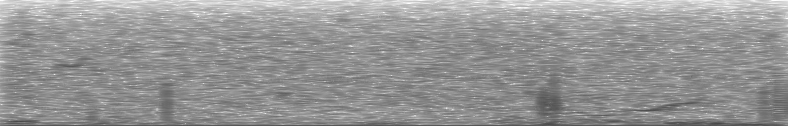 [Loading Spectrogram]