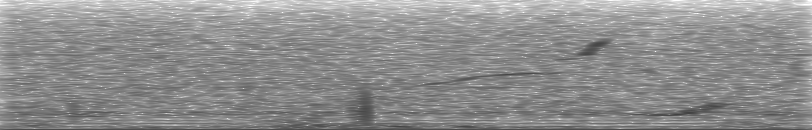 [Loading Spectrogram]