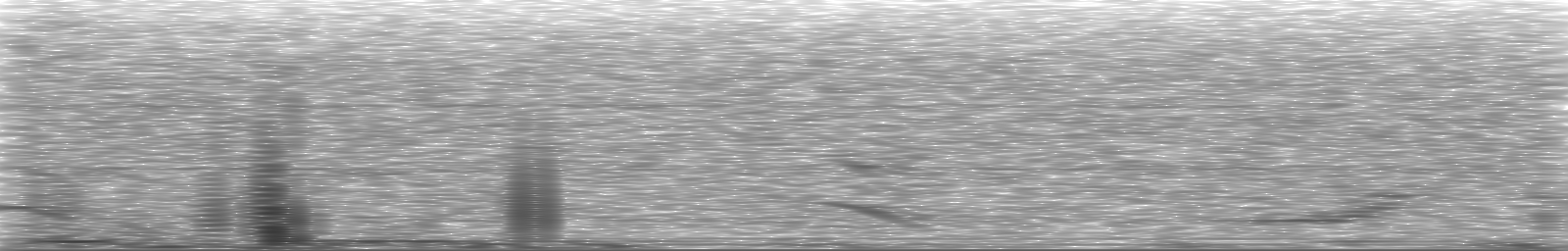 [Loading Spectrogram]