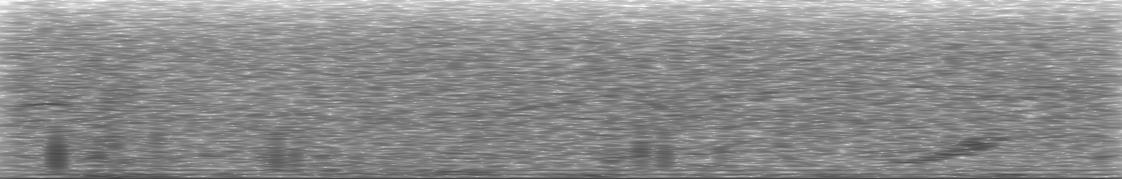 [Loading Spectrogram]