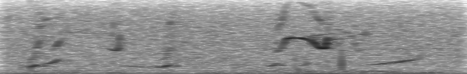 [Loading Spectrogram]