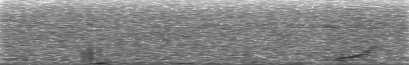 [Loading Spectrogram]