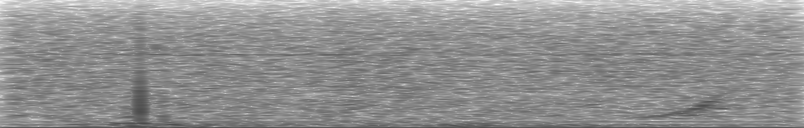 [Loading Spectrogram]